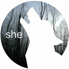 Seka - Cessna (Romulus Schwarz edit) [Forthcoming on Shewolf Music]