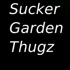 Where You From (Bushes) Feat. Ste-v-e & Oozi Black [Prod. By Big BOi J-Dow]