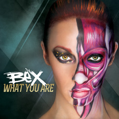 What You Are (Electro Pop Mix)