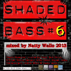 Shaded Bass#06