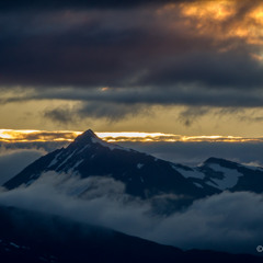Adagio in G minor - Tommaso Albinoni