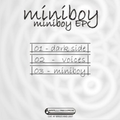 01. Miniboy - Dark Side
