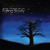 Artwork for Nine Times Blue - Falling Slowly