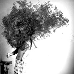 The Queefing Apocalypse