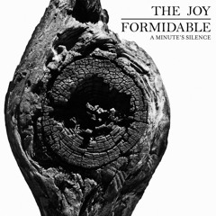 The Joy Formidable - "A Minute's Silence"