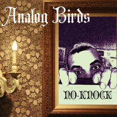 Analog Birds - No-Knock (2013 single)