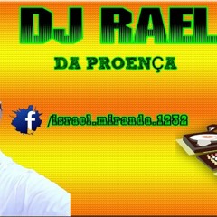 MEGA DAS FAVELAS DO COMPLEXO DO CHAPADÃO ( DJ RAEL DA PROENÇA)