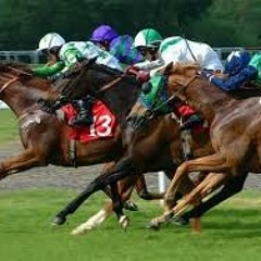 Horse # 13