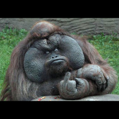 New private playlist