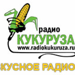 "Пока вы были на работе..." выпуск 5 от 12 апреля 2013 года