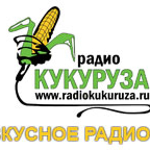 "Пока вы были на работе..." выпуск 5 от 12 апреля 2013 года