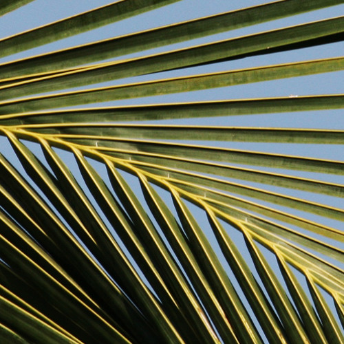 Rebuilder - Never Too Late