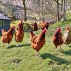 Ah yea will sparks - lemon chicken remix  at Lemvolver studios