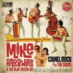 Mike Barbwire - Camel Rock 7"