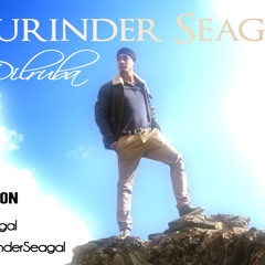 Gurinder Seagal Dilruba