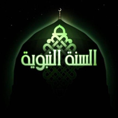 قصيدة "ستعلو السنة الغراء يوماً *** وإن رغمت أنوف الحاقدين" - عبد العزيز البرعي