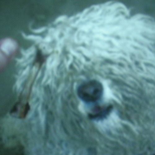 DiscRateBye - SyriusNet