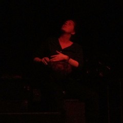Live Geiger 2013 (excerpt)
