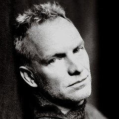 Sting - Shape Of My Heart