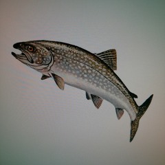 Dekle je po Vodo Šlo, Robot Edition