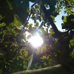 Mat Zo It's Yours (Remix)