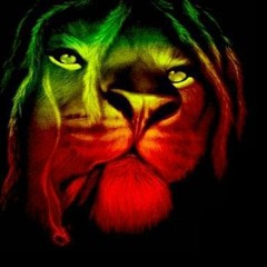 Dj Atlantik-Forteresse reggae2013