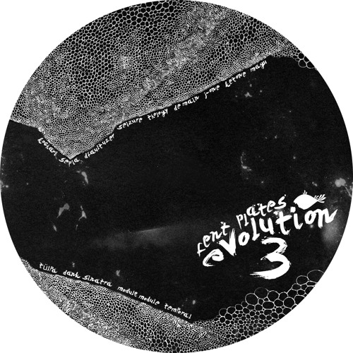 Module Module & Temporal - Star Dust (Fent Plate's Evoluion Vol.3)