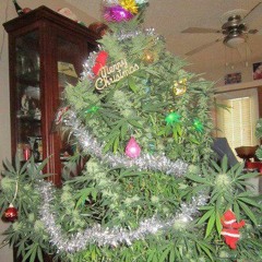 Acnestilo - nadie quiere nah SIP -C EN EL BEAT!