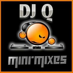 DJ Q Reggae 2013 Mini-Mix