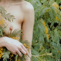 Disfruto - Carla Morrison (coverberp)