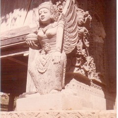 BRONDONG