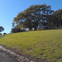 Последний Солнечный День