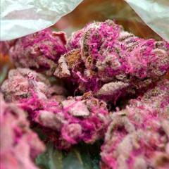 herb tunes my nigga