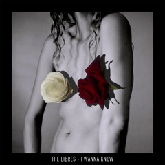 The Libres - I Wanna Know