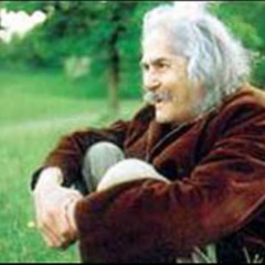 آواز چگور 1/اخوان ثالث