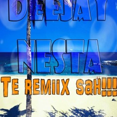 DEEJAY NESTA LA PLI SI TOL VERSION MAXI AMBIANCE 2K13