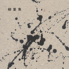 裹著糖衣的駱駝