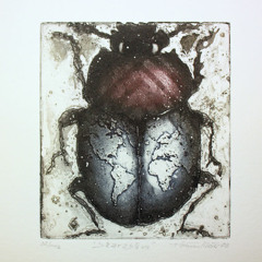 Kuno Taucher - Skarabaeus