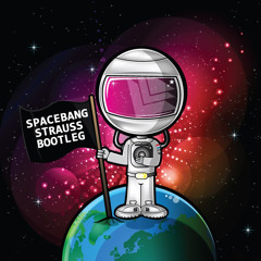 Hardwell - Spacebang (Strauss Bootleg) @ HouseTime.FM 14.4.2013