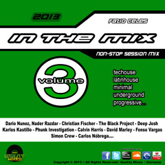 IN THE MIX - 2013