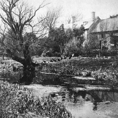 NEUTRAL TONES, by THOMAS HARDY, read by Maud Newton