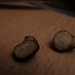 Inside Mushrooms - brute de pomme