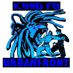 Spectra_dnb - Kung fu (FREE DOWNLOAD).wav