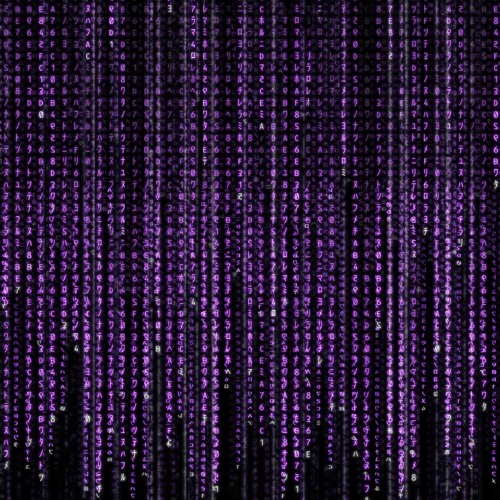 NS*Array