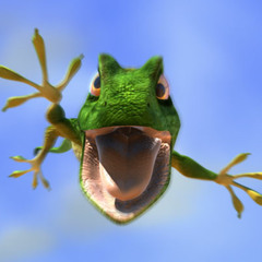 Rap Calango - Lethal Kalongi ft. Grace Carvalho