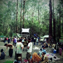 Harry Blotter 1.30- 3am @ "Collective Illness" april 2013 Aussie Bush