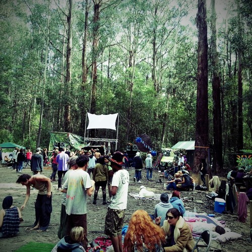 Harry Blotter 1.30- 3am @ "Collective Illness" april 2013 Aussie Bush