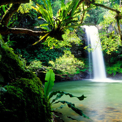 Prisma Dub Family - BudaDub (original mix)