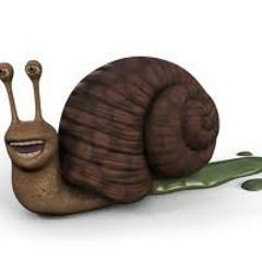 snail ate my mail