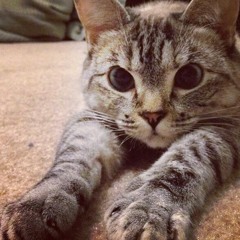 หัวใจไม่ใช่กระดาษ